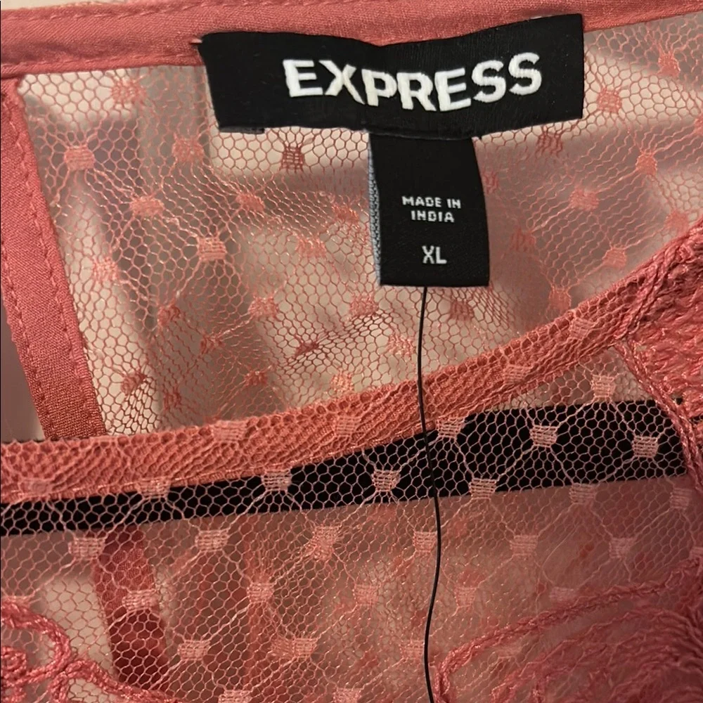Express Pink Sheer Ruffled Blouse - Picture 2 of 3